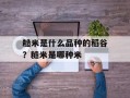 糙米是什么品种的稻谷？糙米是哪种米