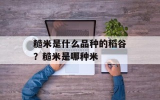 糙米是什么品种的稻谷？糙米是哪种米