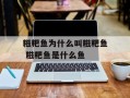 糍粑鱼为什么叫糍粑鱼 糍粑鱼是什么鱼