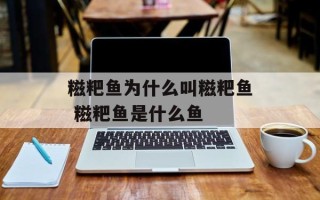 糍粑鱼为什么叫糍粑鱼 糍粑鱼是什么鱼
