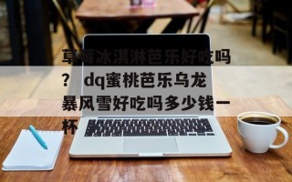 草莓冰淇淋芭乐好吃吗？ dq蜜桃芭乐乌龙暴风雪好吃吗多少钱一杯