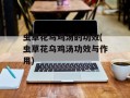虫草花乌鸡汤的功效(虫草花乌鸡汤功效与作用)