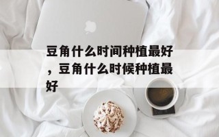 豆角什么时间种植最好，豆角什么时候种植最好