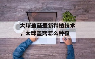 大球盖菇最新种植技术，大球盖菇怎么种植