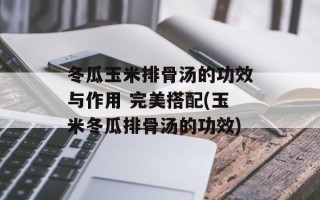 冬瓜玉米排骨汤的功效与作用 完美搭配(玉米冬瓜排骨汤的功效)