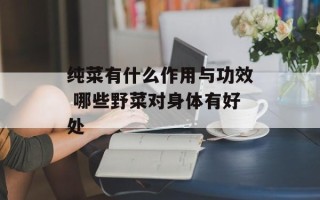 纯菜有什么作用与功效 哪些野菜对身体有好处