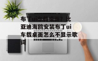 布丁ui车载桌面？比亚迪海鸥安装布丁ui车载桌面怎么不显示歌词