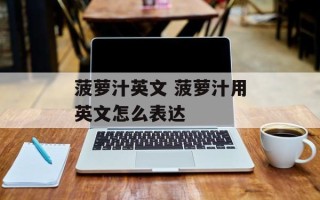 菠萝汁英文 菠萝汁用英文怎么表达