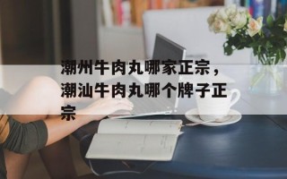 潮州牛肉丸哪家正宗，潮汕牛肉丸哪个牌子正宗