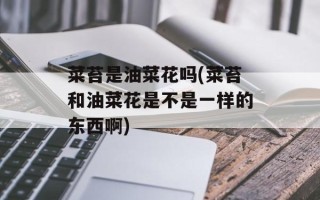 菜苔是油菜花吗(菜苔和油菜花是不是一样的东西啊)