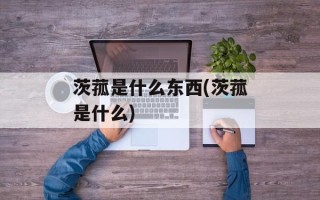 茨菰是什么东西(茨菰是什么)