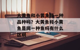 大黄鱼和小黄鱼是一种品种吗？大黄鱼和小黄鱼是同一种鱼吗有什么区别