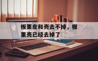 板栗皮和壳去不掉，板栗壳已经去掉了
