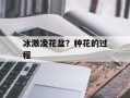 冰激凌花盆？种花的过程