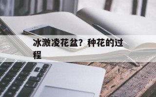 冰激凌花盆？种花的过程