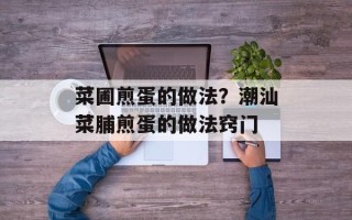 菜圃煎蛋的做法？潮汕菜脯煎蛋的做法窍门