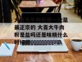 大喜大牛肉粉哪一款是最正宗的 大喜大牛肉粉是盐吗还是味精什么时候放