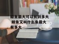 鲅鱼最大可以长到多大 鲅鱼又叫什么鱼最大有多大