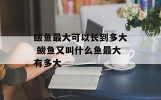 鲅鱼最大可以长到多大 鲅鱼又叫什么鱼最大有多大