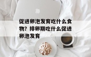 促进卵泡发育吃什么食物？排卵期吃什么促进卵泡发育