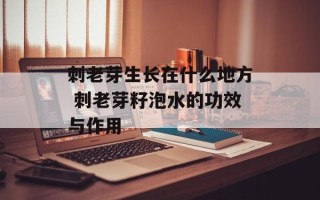 刺老芽生长在什么地方 刺老芽籽泡水的功效与作用