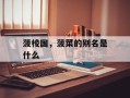 菠棱国，菠菜的别名是什么