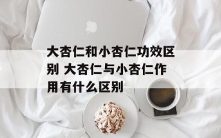 大杏仁和小杏仁功效区别 大杏仁与小杏仁作用有什么区别