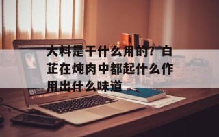 大料是干什么用的？白芷在炖肉中都起什么作用出什么味道