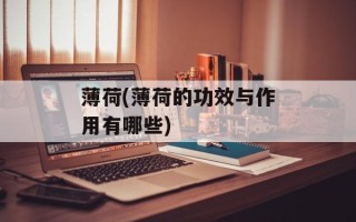 薄荷(薄荷的功效与作用有哪些)