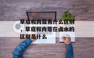 草寇和肉蔻有什么区别，草寇和肉蔻在卤水的区别是什么