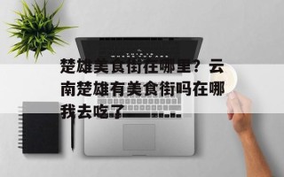 楚雄美食街在哪里？云南楚雄有美食街吗在哪我去吃了