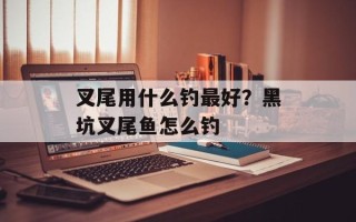 叉尾用什么钓最好？黑坑叉尾鱼怎么钓