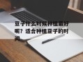 豆子什么时候种植最好呢？适合种植豆子的时间
