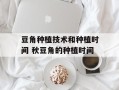 豆角种植技术和种植时间 秋豆角的种植时间