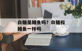 白鳝是鳗鱼吗？白鳝和鳗鱼一样吗