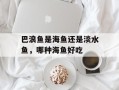 巴浪鱼是海鱼还是淡水鱼，哪种海鱼好吃