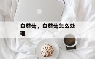 白蘑菇，白蘑菇怎么处理