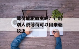 薄荷能驱蚊虫吗？？听别人说薄荷可以用来驱蚊虫