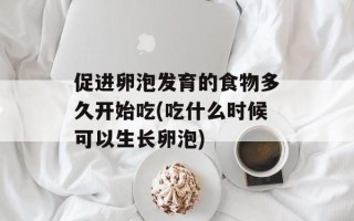 促进卵泡发育的食物多久开始吃(吃什么时候可以生长卵泡)