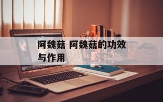 阿魏菇 阿魏菇的功效与作用