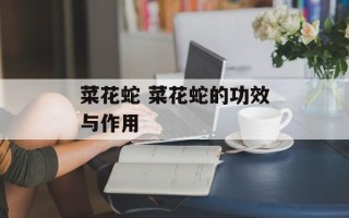 菜花蛇 菜花蛇的功效与作用