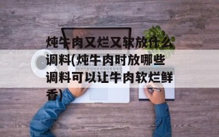 炖牛肉又烂又软放什么调料(炖牛肉时放哪些调料可以让牛肉软烂鲜香)