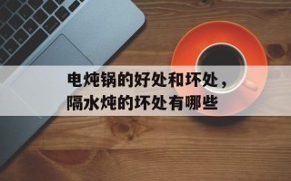 电炖锅的好处和坏处，隔水炖的坏处有哪些