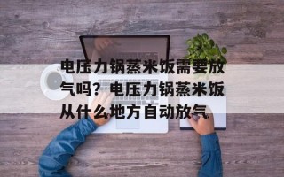 电压力锅蒸米饭需要放气吗？电压力锅蒸米饭从什么地方自动放气