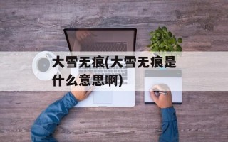 大雪无痕(大雪无痕是什么意思啊)