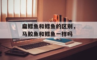 扁鳕鱼和鳕鱼的区别，马鲛鱼和鳕鱼一样吗