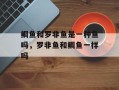鲷鱼和罗非鱼是一种鱼吗，罗非鱼和鲷鱼一样吗