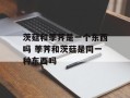 茨菇和荸荠是一个东西吗 荸荠和茨菇是同一种东西吗