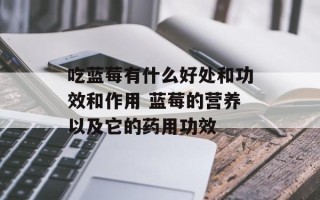 吃蓝莓有什么好处和功效和作用 蓝莓的营养以及它的药用功效