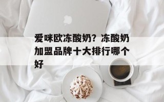 爱咪欧冻酸奶？冻酸奶加盟品牌十大排行哪个好